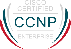 Сертификат 11